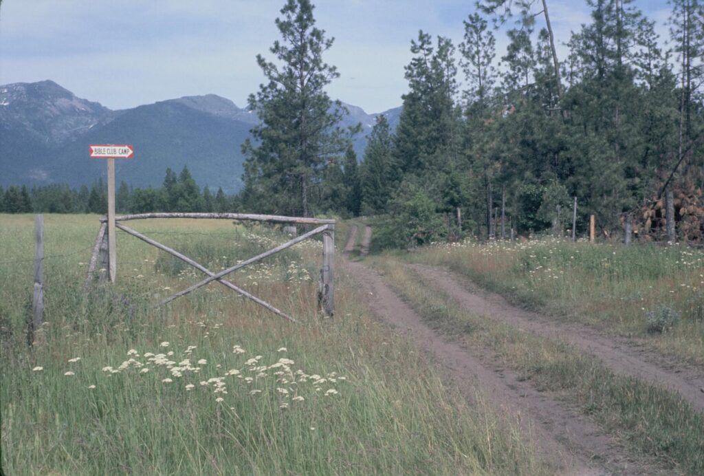Image Alt