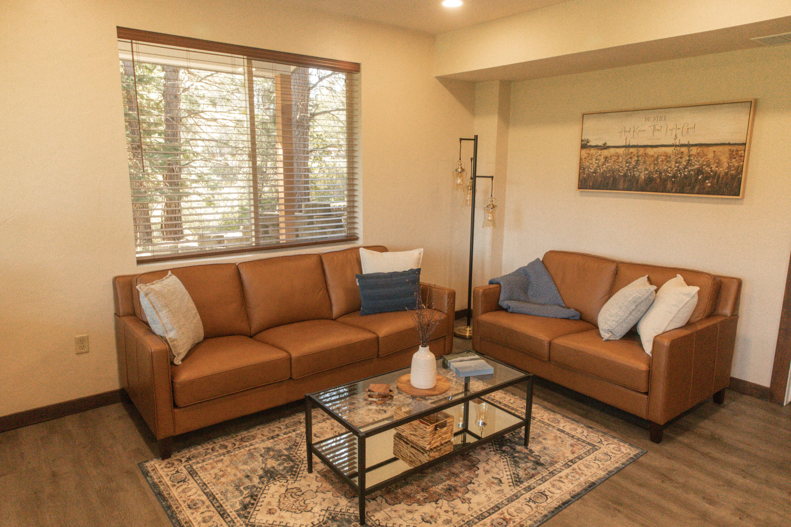 Birch Living Room  photo