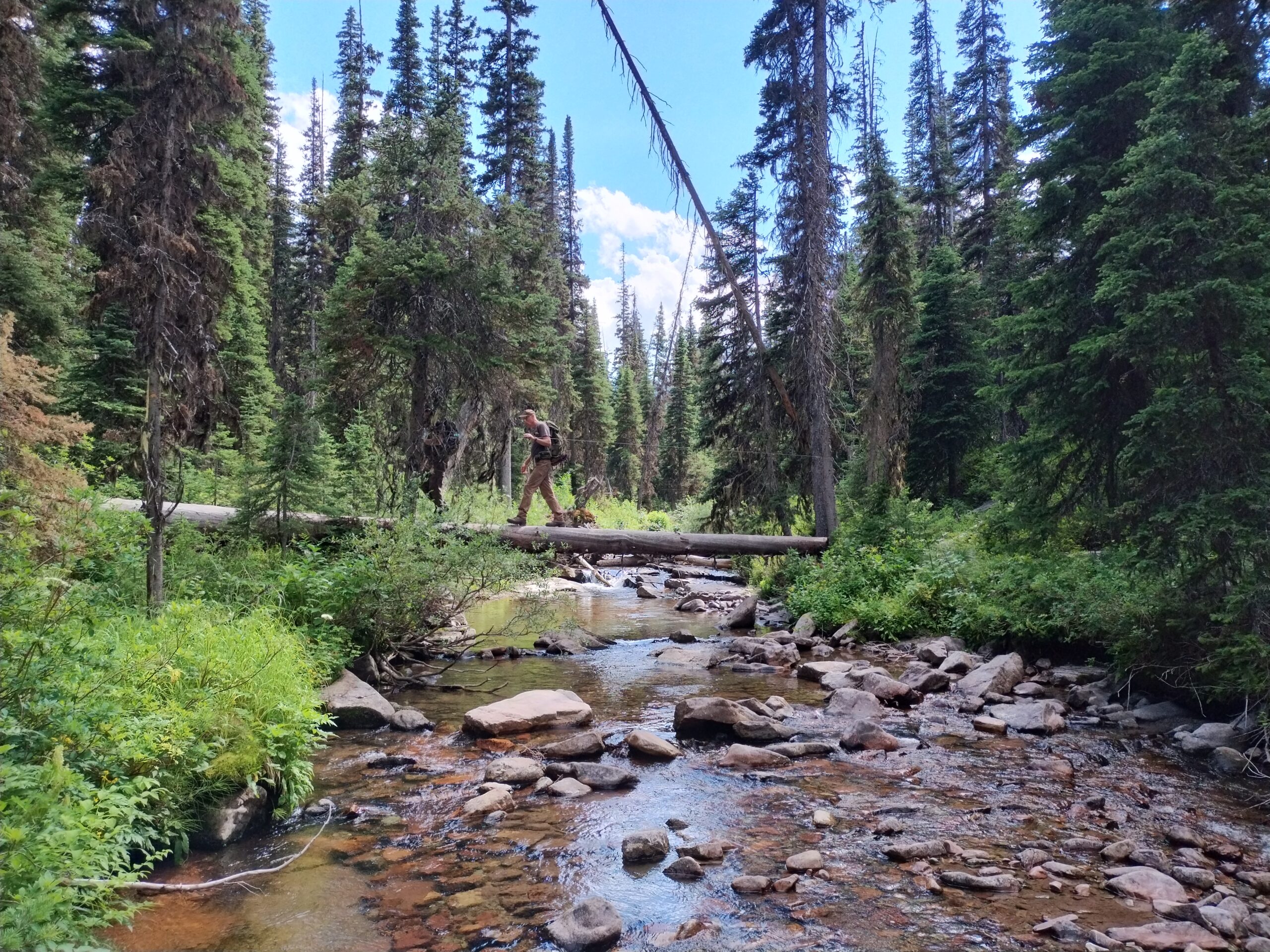 About this camp Image
